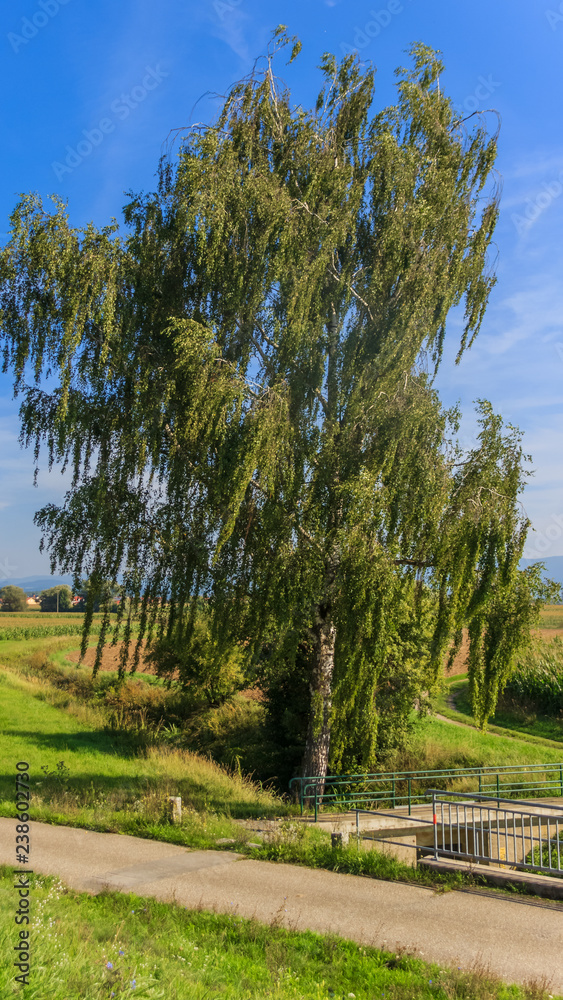 Smartphone HD wallpaper of beautiful view near Straubing - Danube - Bavaria - Germany Smartphone HD wallpaper of beautiful view near Straubing - Danube - Bavaria - Germany