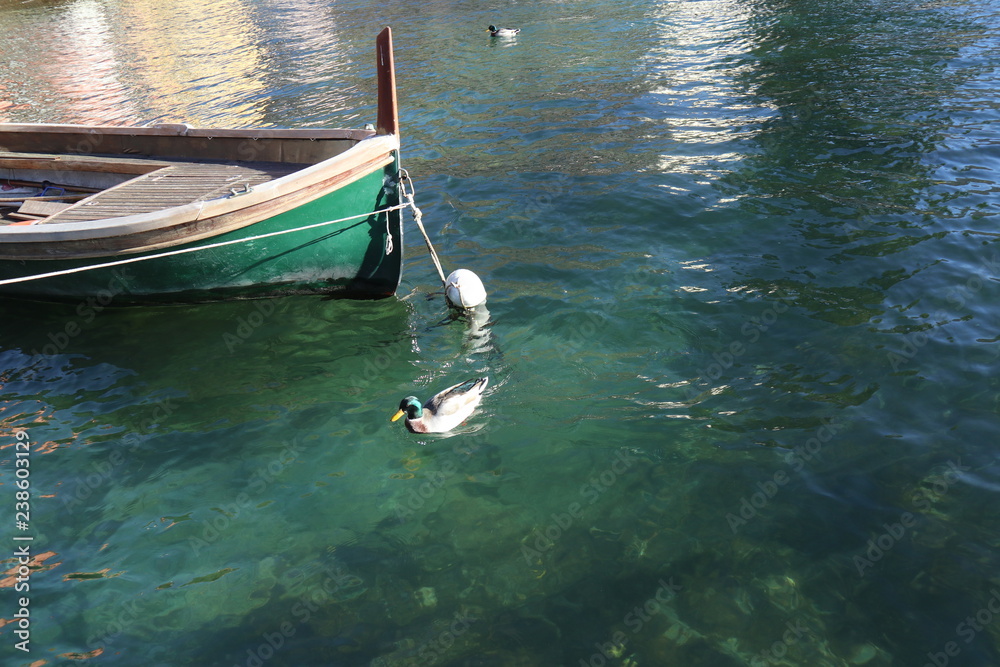 Obraz premium Wood Boat