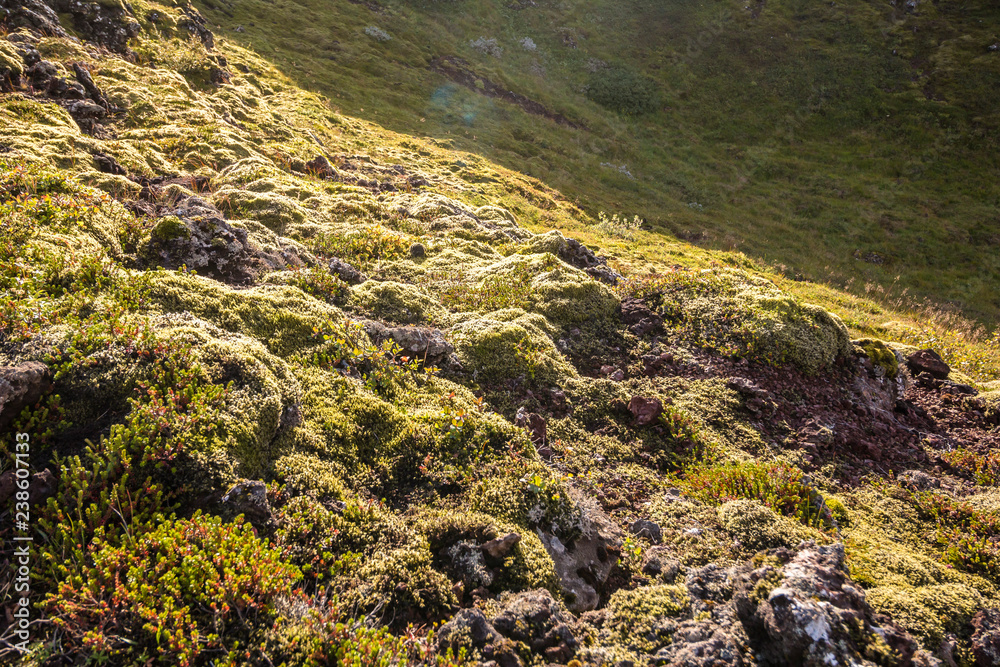 Landscape near Kerid crater in Iceland, evening time