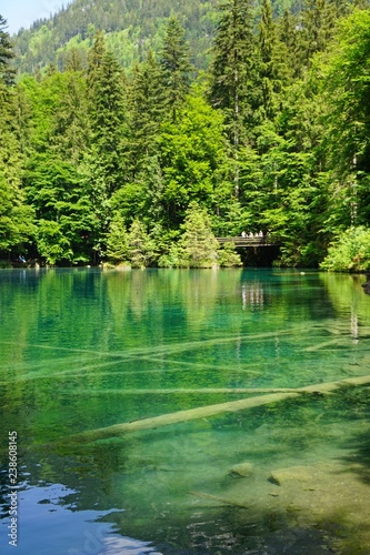 Blausee lake in Alps  Switzerland. The lake was formed by melting Glacier.