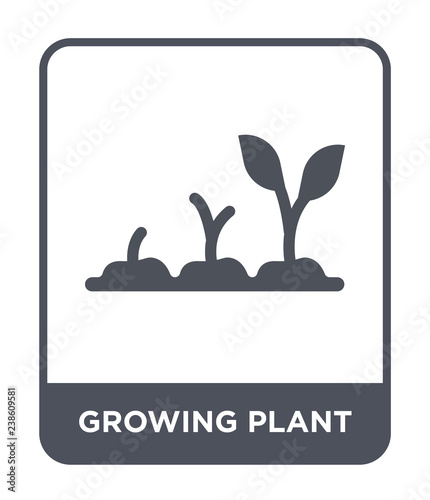 growing plant icon vector