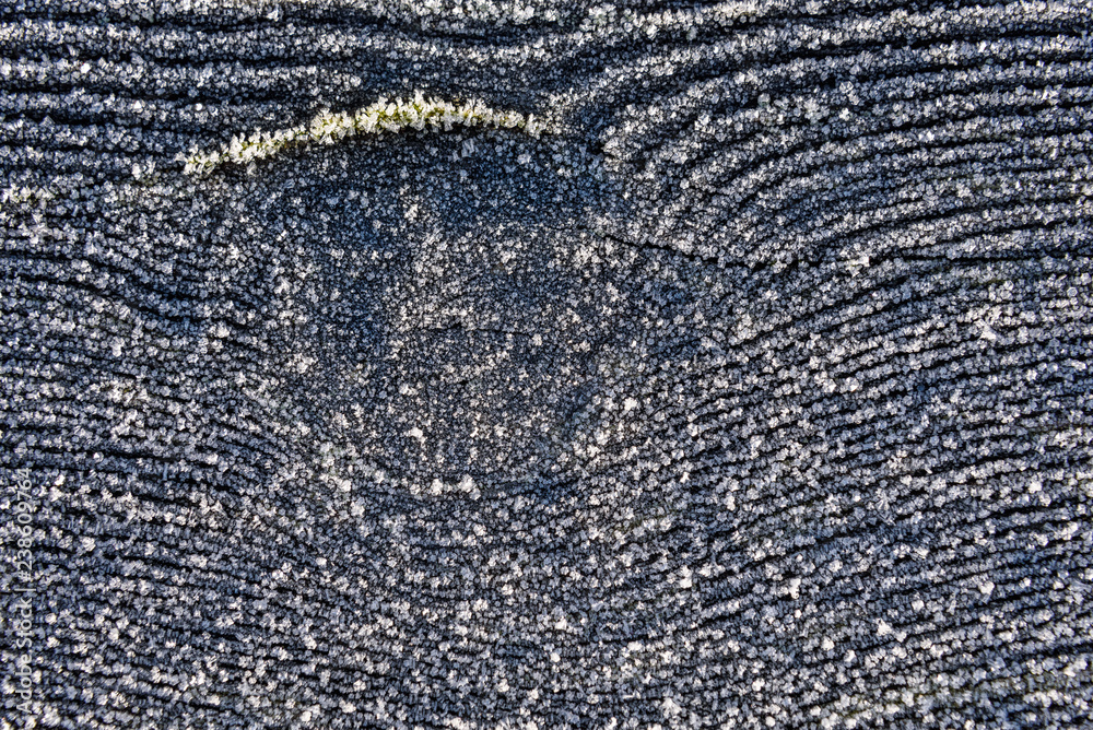 Weathered piece of wood with green moss and frost, as a nature background Weathered piece of wood with green moss and frost, as a nature background