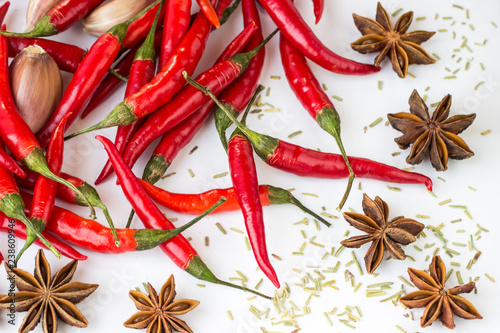 Fototapeta Naklejka Na Ścianę i Meble -  Red pods of chili, star anise and rosemary on white background. Close-up