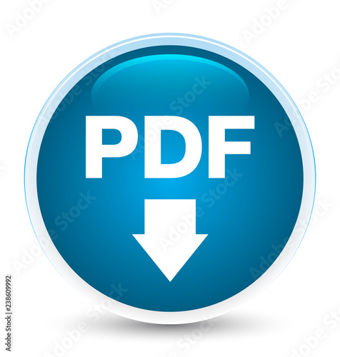 PDF download icon special prime blue round button