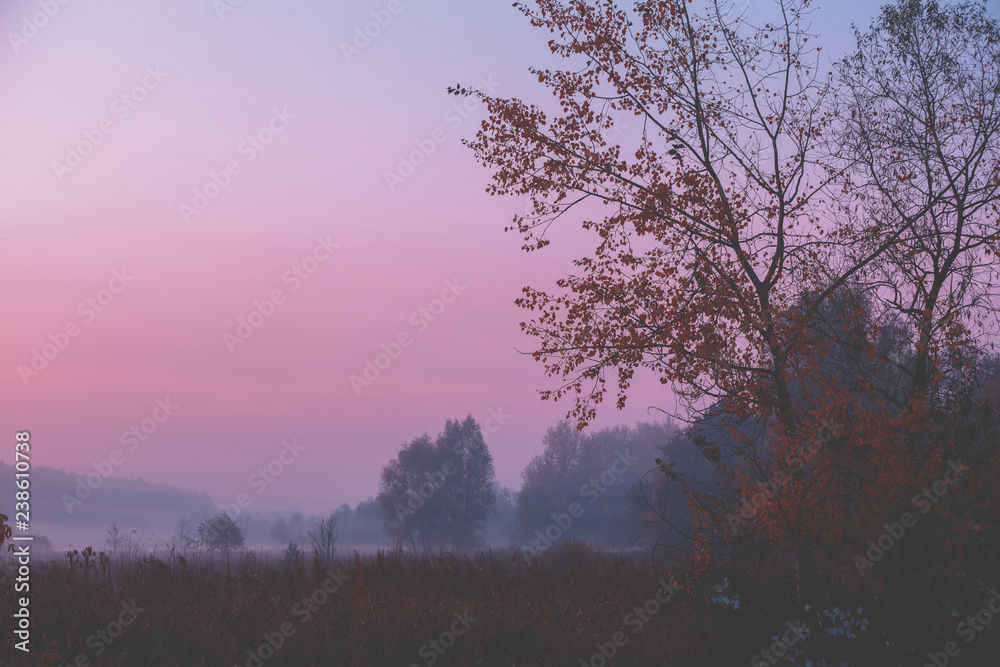 Rural landscape in the early morning. The time before sunrise in the field