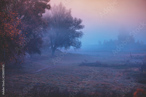 Rural landscape in the early morning. The time before sunrise in the field 