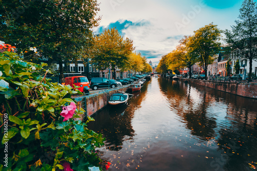 Evening twilight over beautiful Amsterdam canals in autumn. flowers in foreground
