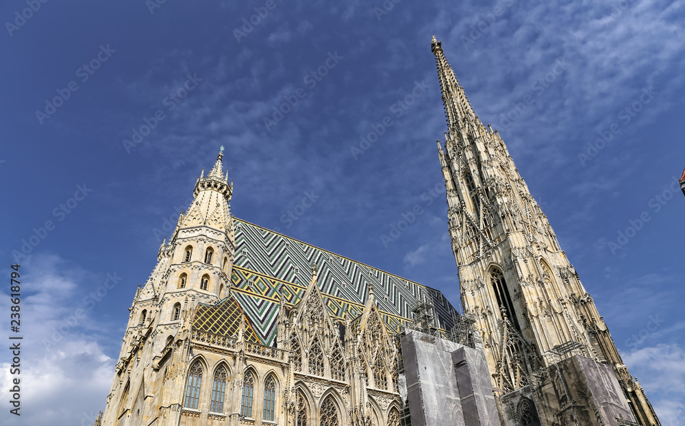 Fototapeta premium St Stephens Cathedral in Vienna, Austria
