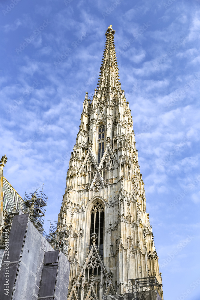 Fototapeta premium St Stephens Cathedral in Vienna, Austria
