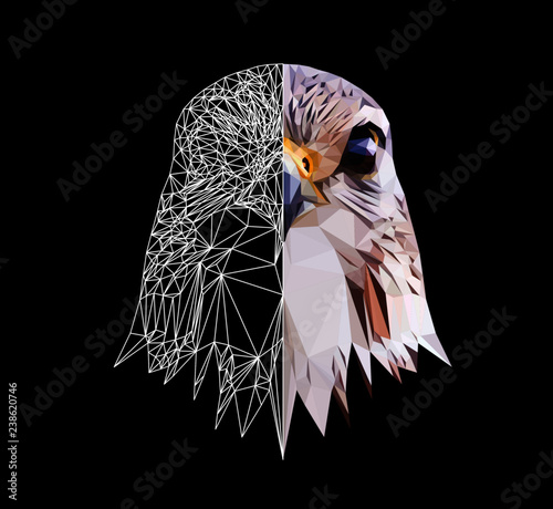 Falcon head on black background, low poly triangular and wireframe vector illustration EPS 10 isolated. Polygonal style trendy modern logo design. Suitable for printing on a t-shirt.