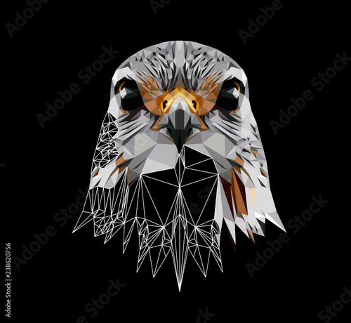 Fotografia Falcon on black background, low poly triangular and wireframe vector illustration EPS 10 isolated