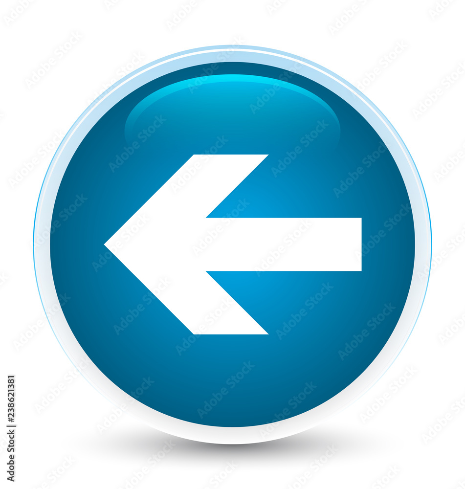 Back arrow icon special prime blue round button Back arrow icon special prime blue round button