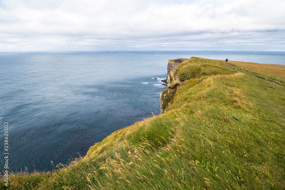 Dramatic and high cliffs of Latrabjarg, west fjords, Iceland