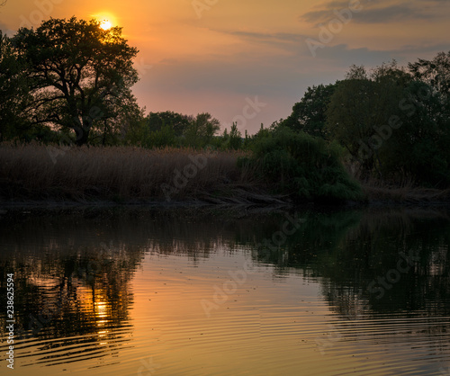 Sunset with reflections of trees in the water