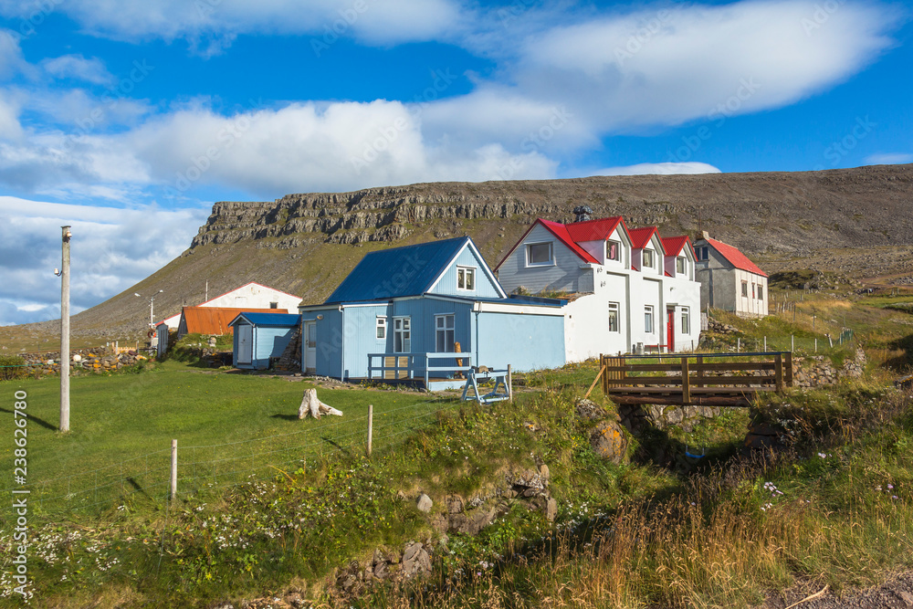 Nice icelandic houses in nature of Iceland