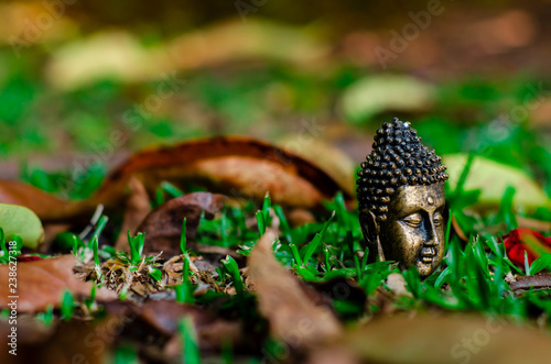 Buddha © samuel