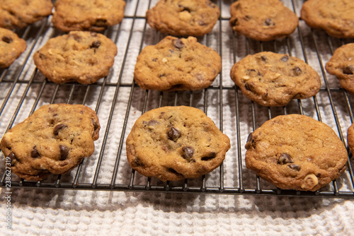 chocolate cookies 