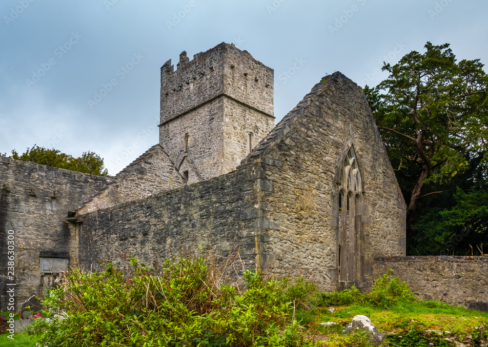 Ruins of the Muckross Abbey, founded in 1448 as a Franciscan friary. Killarney National Park, County Kerry, Ireland.