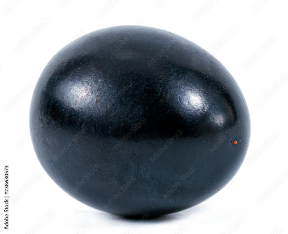 Grape isolated on white background. One berry. Dark grape. Blue grape. Grape isolated on white background. One berry. Dark grape. Blue grape.