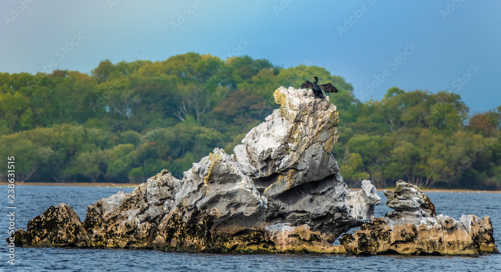 Cormorant dries its wings on a rocky islet in Lough Leane while a bright rainbow emerges in the background. Killarney National Park, County Kerry, Ireland.