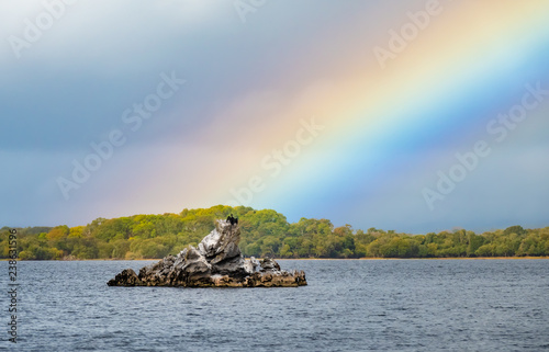 Cormorant dries its wings on a rocky islet in Lough Leane while a bright rainbow emerges in the background. Killarney National Park, County Kerry, Ireland. photo