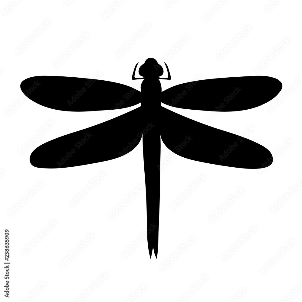 vector, isolated, silhouette dragonfly, black vector, isolated, silhouette dragonfly, black