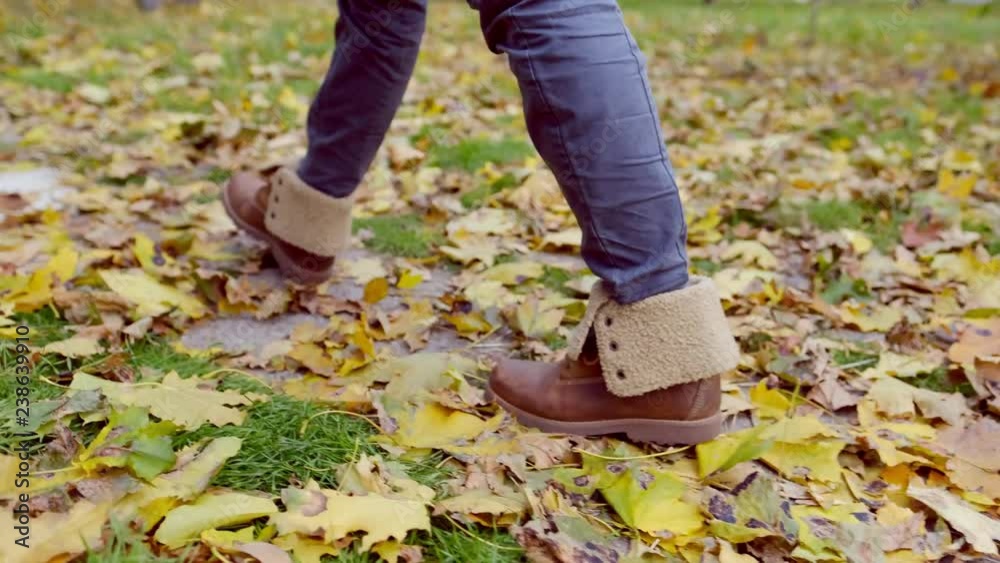 Woman feet walking in autumn park covered with yellow leaves. Close up legs in warm shoes walking outdoors on nature. Girl wearing stylish boots enjoying fall weather. Woman feet walking in autumn park covered with yellow leaves. Close up legs in warm shoes walking outdoors on nature. Girl wearing stylish boots enjoying fall weather.