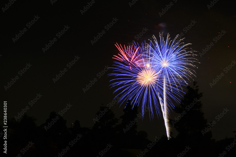 Colorful fireworks display on a dark sky background; Celebrations, Festivals, Independence Day, 4th of July or New Year