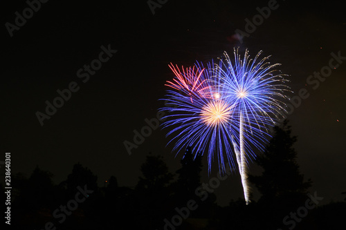 Colorful fireworks display on a dark sky background; Celebrations, Festivals, Independence Day, 4th of July or New Year