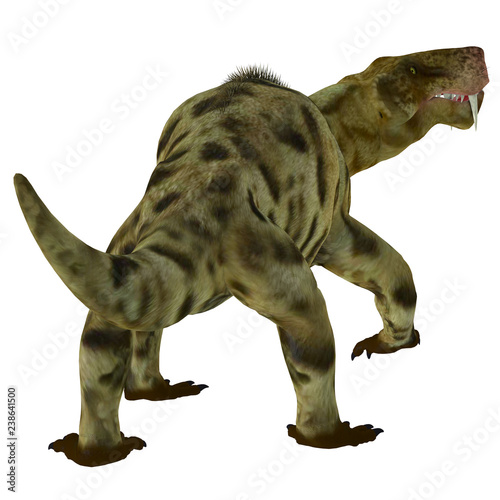 Inostrancevia Dinosaur Tail - Inostrancevia was a carnivorous cat-like dinosaur that lived in Russia during the Permian Period. photo