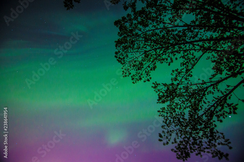 Northern Light Storm in Canada