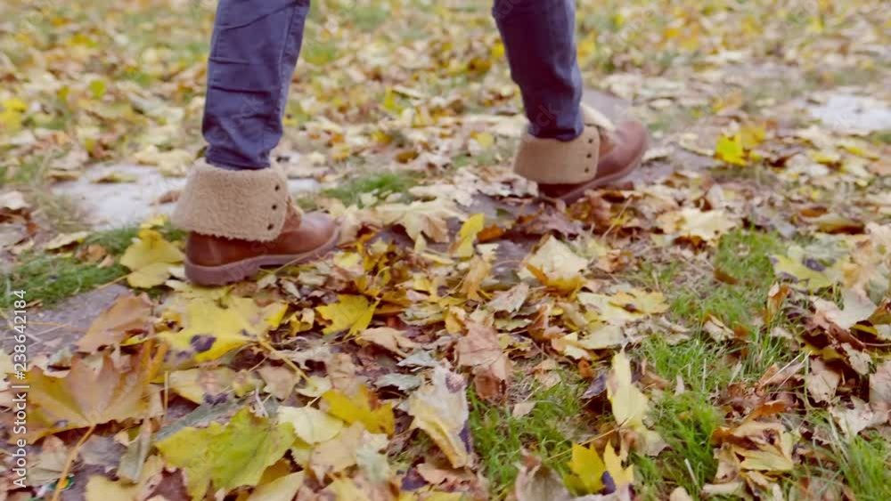 Woman feet walking in autumn park covered with yellow leaves. Close up legs in warm shoes walking outdoors on nature. Girl wearing stylish boots enjoying fall weather. Woman feet walking in autumn park covered with yellow leaves. Close up legs in warm shoes walking outdoors on nature. Girl wearing stylish boots enjoying fall weather.