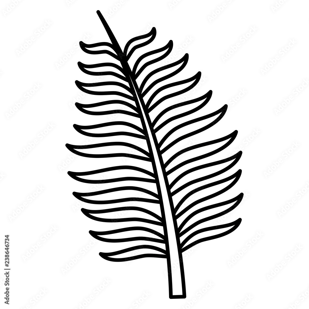 Fototapeta premium tropical leaf design