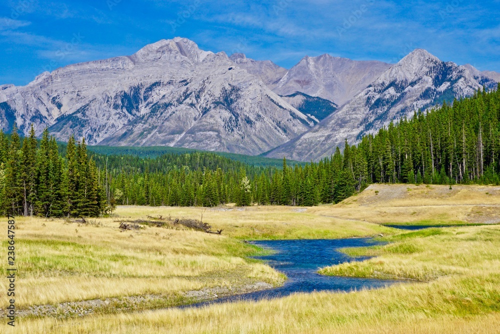 Obraz premium Mountain landscape with autumn meadow in Banff National Park