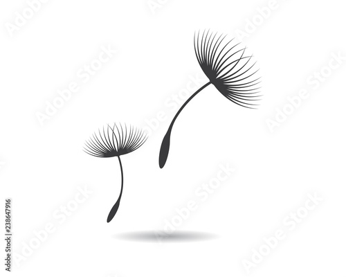 Fototapeta Naklejka Na Ścianę i Meble -  Dandelion vector illustration design