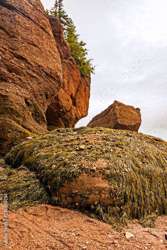 The Bay of Fundy in Canada with the highest tides on earth is one of the natural wonders of the world
