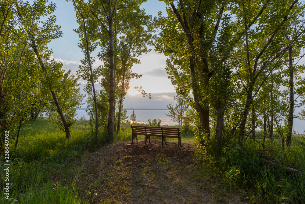 Park bench at the end of a path overlooking serene lake. The scene is calm and relaxing. Park bench at the end of a path overlooking serene lake. The scene is calm and relaxing.