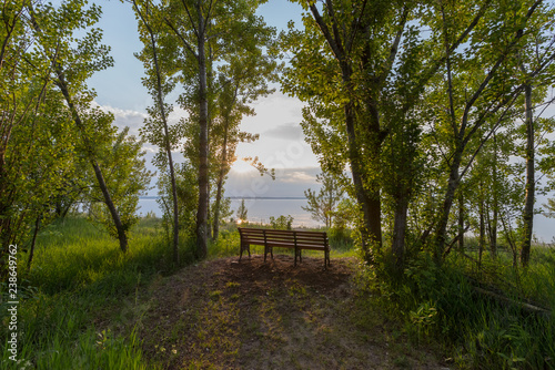 Park bench at the end of a path overlooking serene lake.  The scene is calm and relaxing.