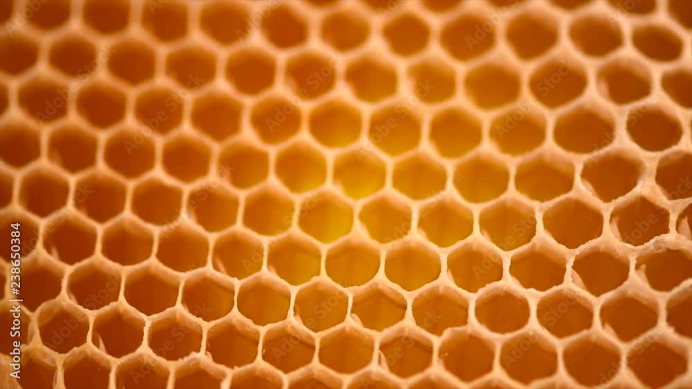Honeycomb background. Honey combs full of fresh organic sweet honey. Healthy food concept. Rotation 4K UHD video 3840X2160 Honeycomb background. Honey combs full of fresh organic sweet honey. Healthy food concept. Rotation 4K UHD video 3840X2160