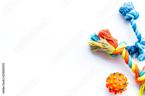 Pet accessories for care and training. Toys on white background top view mock-up