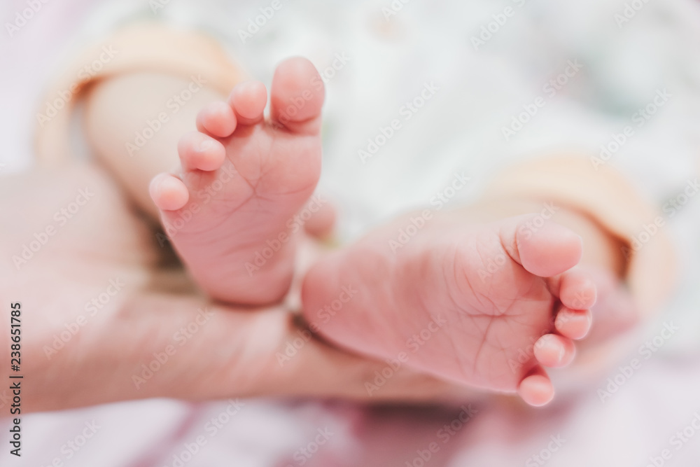 Baby feet in mother hands. Tiny Newborn Baby's feet on female Shaped hands closeup. Mom and her Child. Happy Family concept. Baby feet in mother hands. Tiny Newborn Baby's feet on female Shaped hands closeup. Mom and her Child. Happy Family concept.