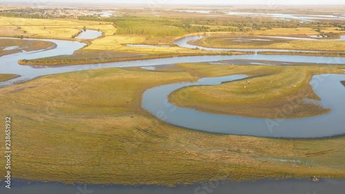 Wallpaper Mural Aerial view of wetland with grazing horse, Qiqihar, Heilongjiang, China, Asia. Torontodigital.ca