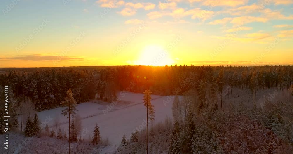 Sunset above winter forest, C4k aerial, rising, drone shot, of endless forest covered in first snow, and the last sun flares of the evening, on a sunny, autumn dusk, in Uusimaa, Finland Sunset above winter forest, C4k aerial, rising, drone shot, of endless forest covered in first snow, and the last sun flares of the evening, on a sunny, autumn dusk, in Uusimaa, Finland