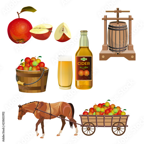 Cider set vector