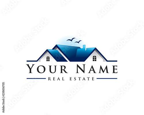 blue real estate company