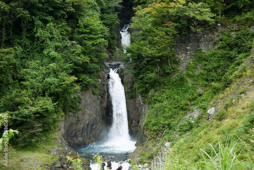 滝