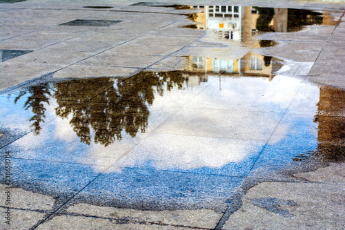 Photography Reflection in a puddle