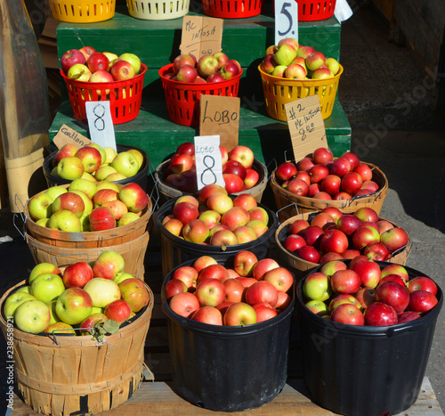 The apple on market is a deciduous tree in the rose family best known for its sweet, pomaceous fruit, the apple. It is cultivated worldwide as a fruit tree photo