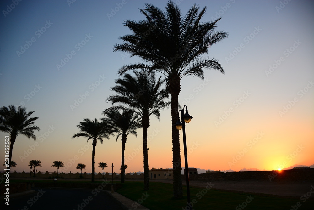 sunset in a beautiful resort area on the red sea