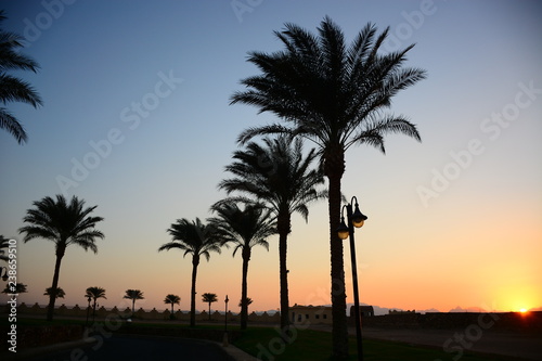 sunset in a beautiful resort area on the red sea © albertmansour